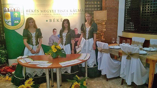 150904 madzagfalvinapok 02