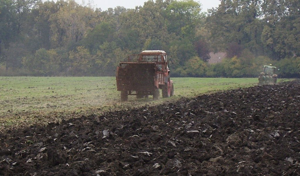 181029 tavaszra 02