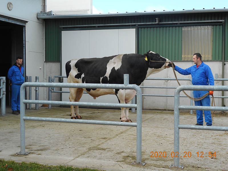 20200224 semex 03