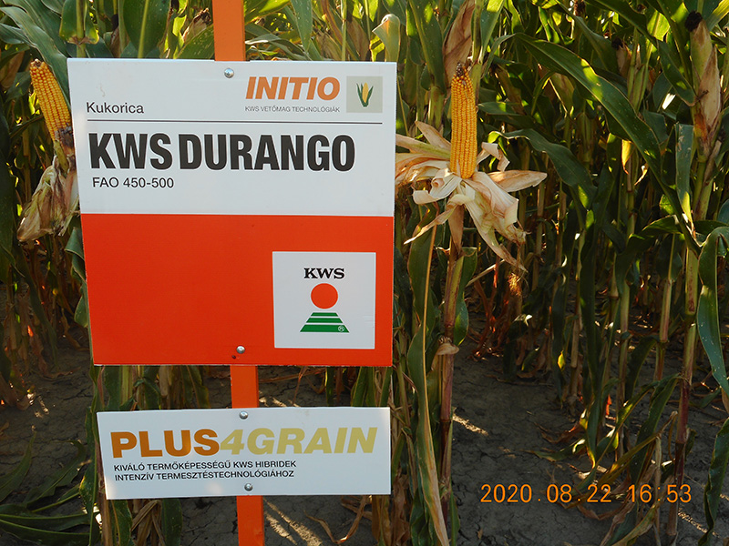 20200824 kws 03