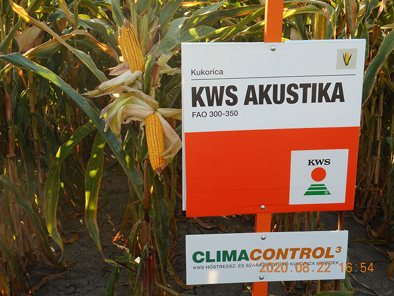 20200824 kws 07