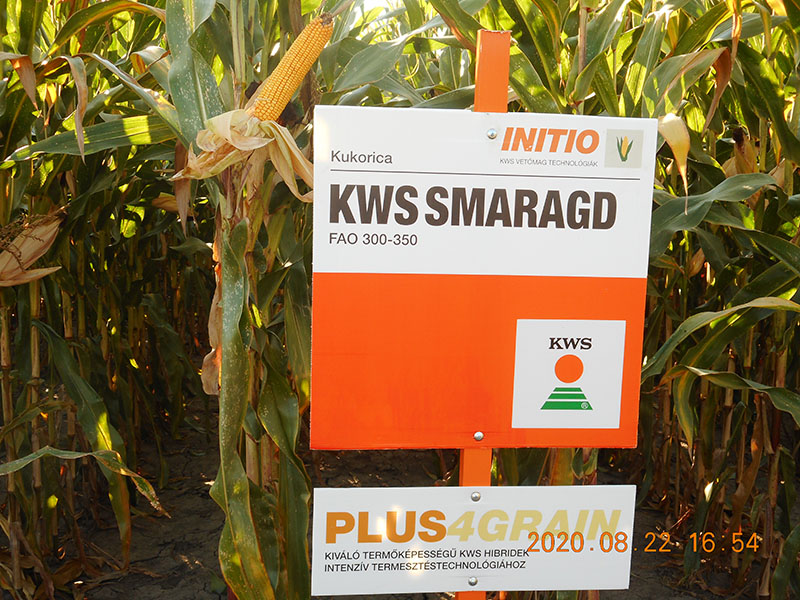 20200824 kws 08