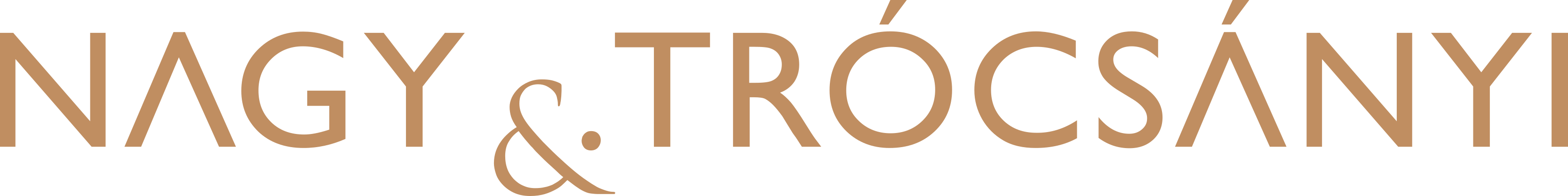 nagy trocsanyi logo