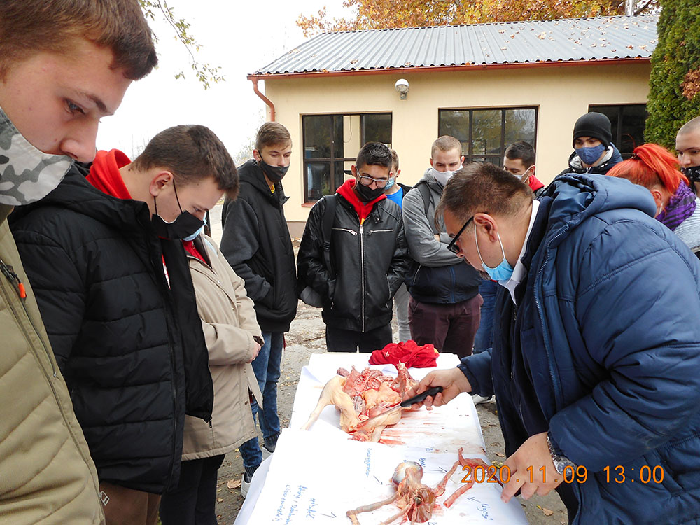 20201111 martonnap 04
