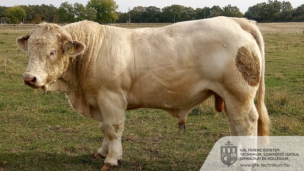 20211019 csiker 06