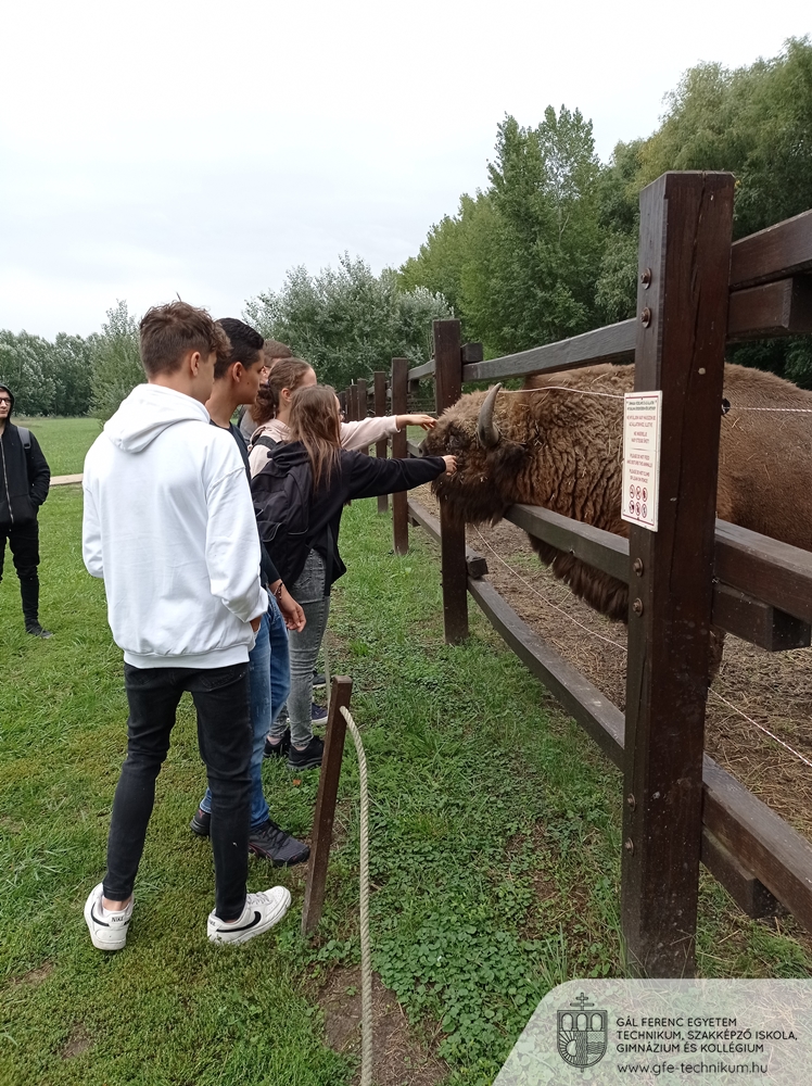 20220919 szarvas 003