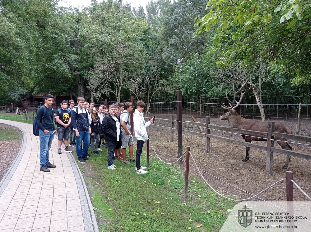 20220919 szarvas 004