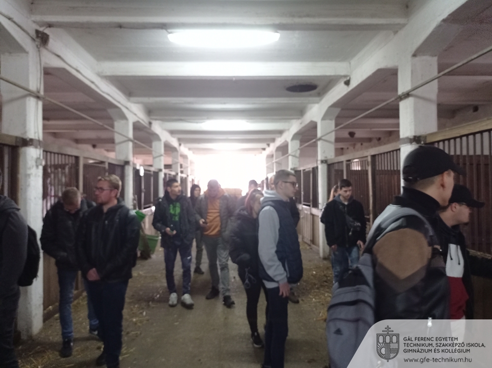 IMG 20230426 091709 József Szlota