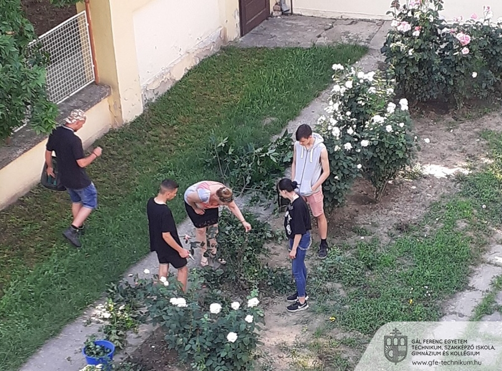 01 Zoltán Lupták