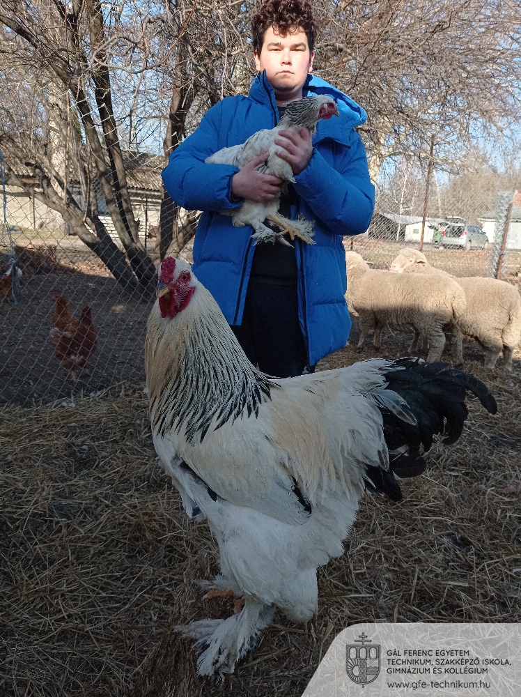 IMG 20240208 141816