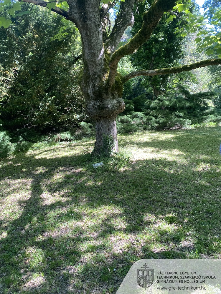 image 67237121