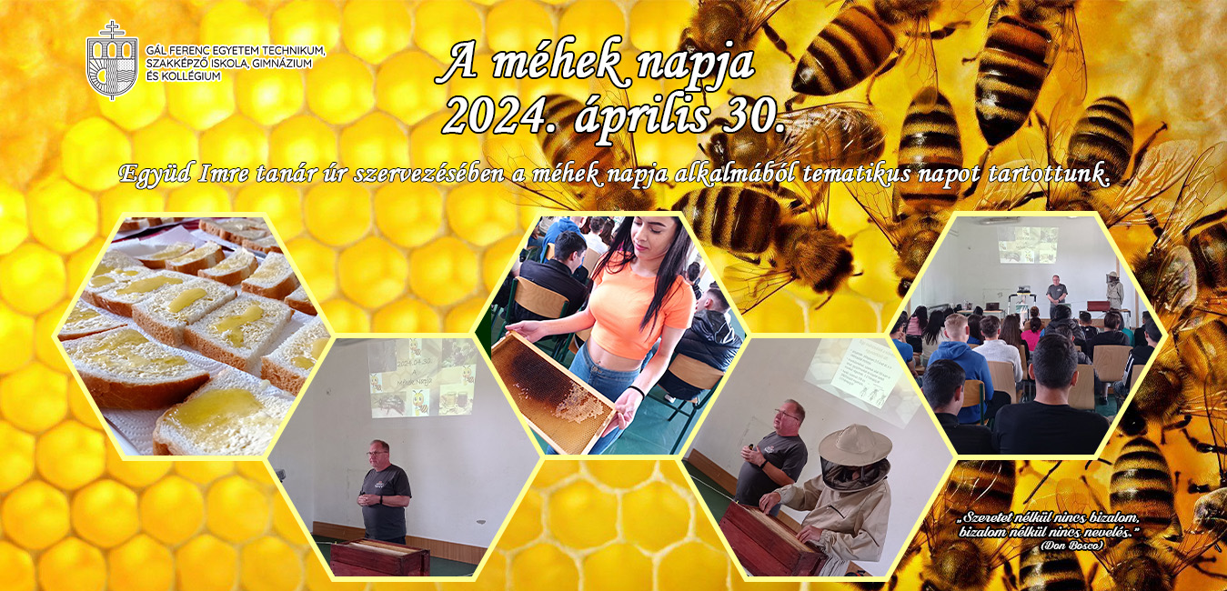 IMG 20240430 100322