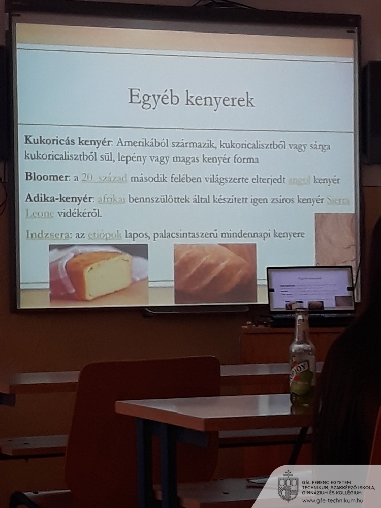 20241016 0832041 Mihályné Földesi