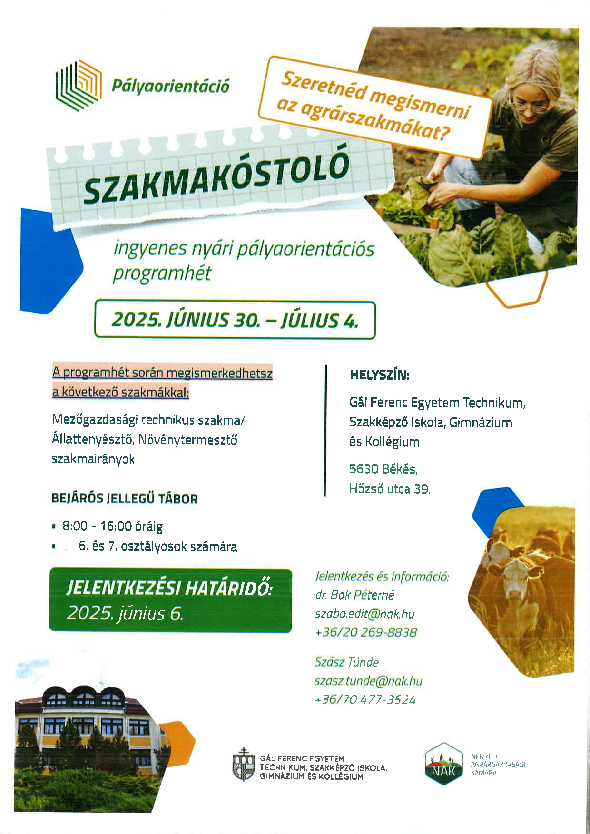szakmakosotlo plakat