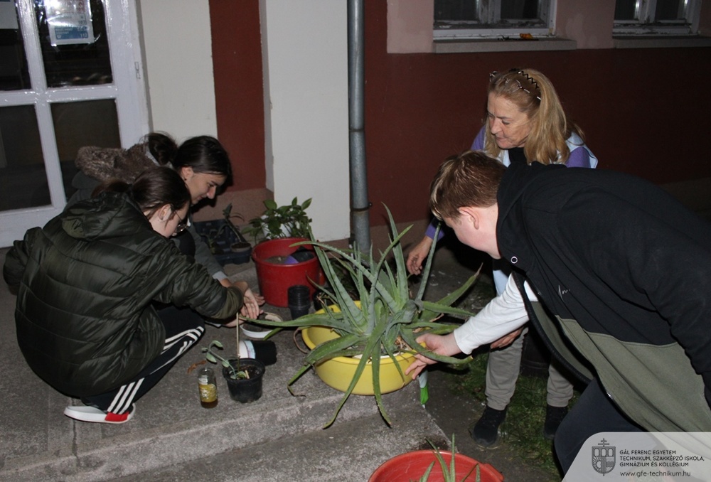013 Zoltán Lupták